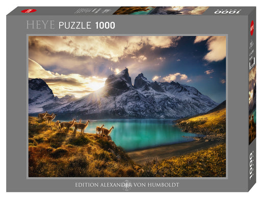 Jigsaw Puzzle: Guanacos (1000 Pieces) - Unwind Online