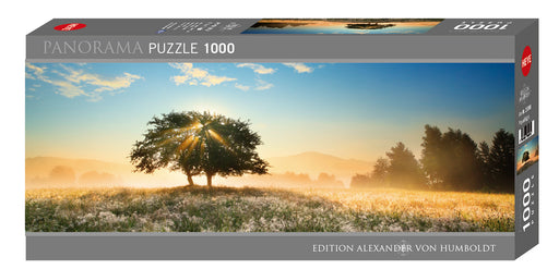 Jigsaw Puzzle: Play of Light (1000 pcs) - Unwind Online